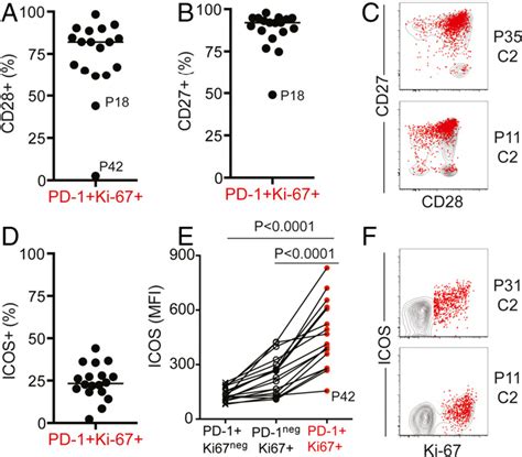 Figure 3 From Proliferation Of PD 1 CD8 T Cells In Peripheral Blood