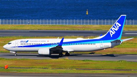 全日空 Boeing 737 800 Ja60an 羽田空港 航空フォト By Michstoneさん 撮影2021年11月10日