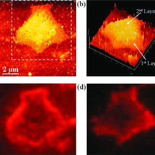 A An SEF Image Of A Layered Gold Nanostructure Adsorbed With CV The