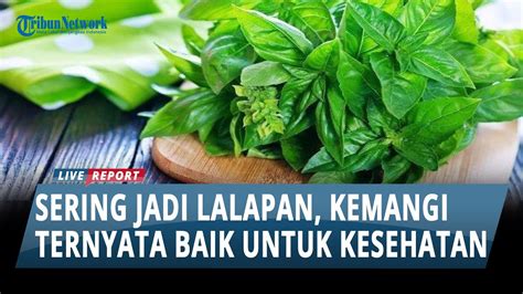 Sering Jadi Lalapan Ternyata Ini Manfaat Daun Kemangi Untuk Kesehatan