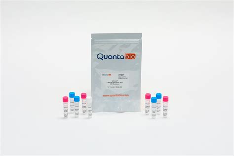 Qscript One Step Rt Qpcr Kit Molecular Biology Products Pakistan