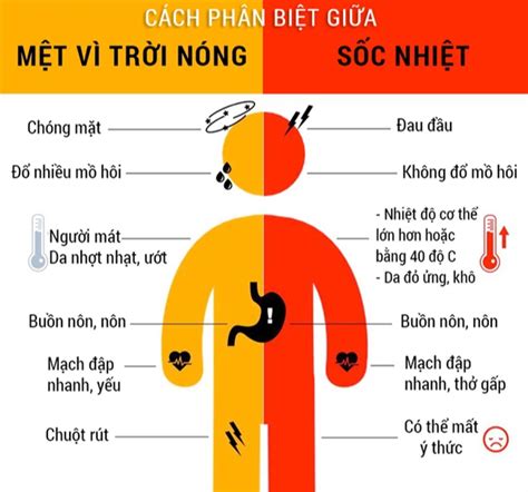 Chuyên gia chỉ cách phòng tránh sốc nhiệt say nắng trong thời điểm nắng nóng gay gắt