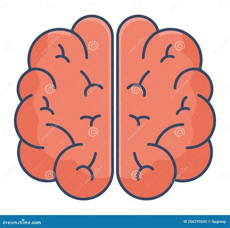 Human Brain Design Stock Vector Illustration Of Biology