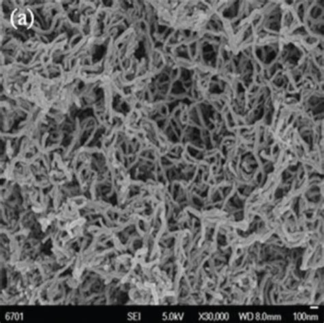 Sem Images Of A Swcnts B Purified Swcnts C Graphite D Go