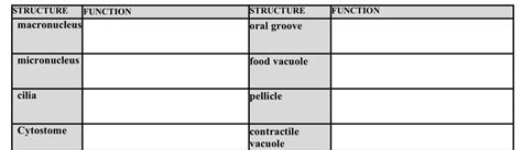 Answered: STRUCTURE macronucleus micronucleus… | bartleby