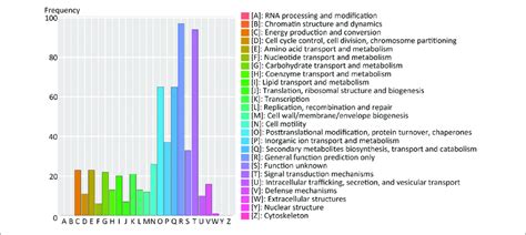 Cluster Of Orthologous Groups Database Of Proteins Cog Functional