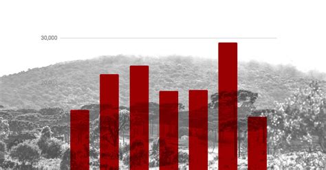 Desmatamento Da Mata Atl Ntica Infogr Ficos Gazeta Do Povo