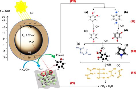 Photocatalytic Degradation Mechanism Of Phenol Over ZnO Under Visible