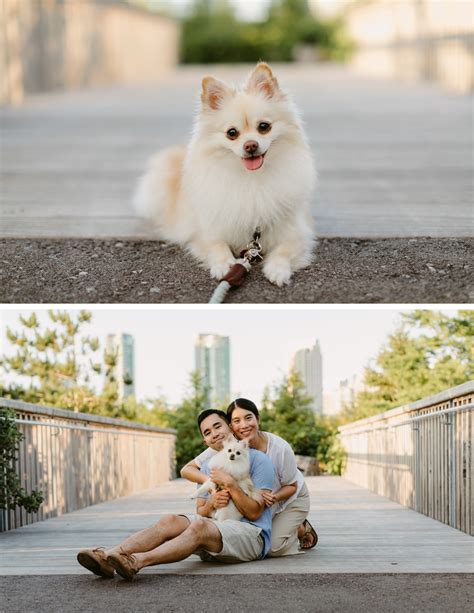 Trillium Park Pet Session Danica Oliva Pet Photography Danica Oliva