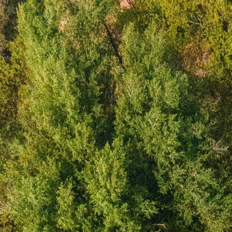 Facts about sustainable phosphorus management | UNEP - UN Environment ... 