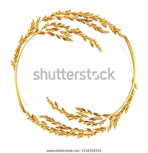 Paddy Rice Malt Wheat Barley Template Stock Vector Royalty Free