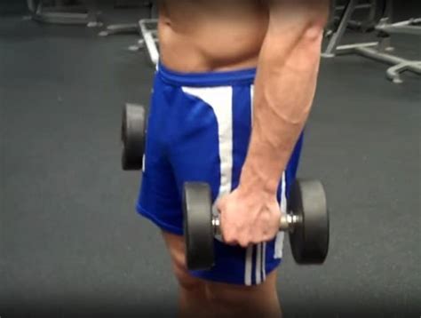 Hammer Curl Exercise Form Guide With Video Pictures