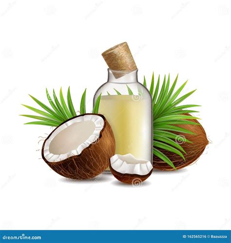 Natural And Organic Coconut Oil Vector Realistic Illustration Stock