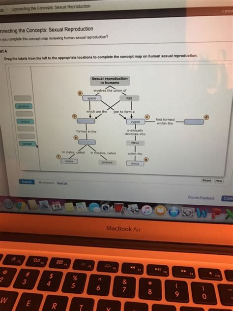 Solved Connecting The Concepts Sexual Reproduction Nnecting Chegg Hot