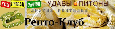 Продажа рептилий | Ищите, где можно свободно продавать, покупать или ...