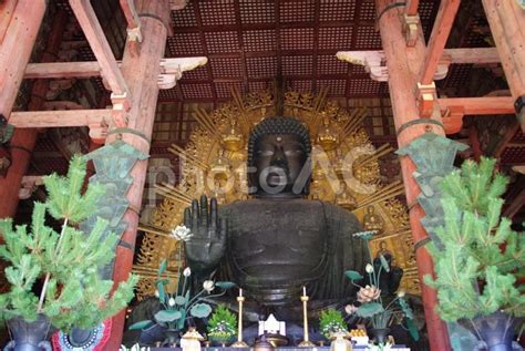 古都奈良の文化財・東大寺大仏 No 5068321｜写真素材なら「写真ac」無料（フリー）ダウンロードok