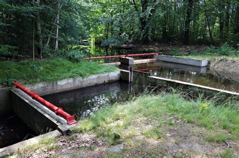 Nieuwe Natuur Waterloopbos Visit Flevoland