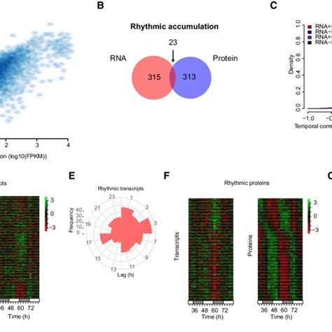 Integration of transcriptomics and proteomics data. | Download ...