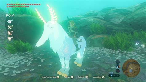 Zelda Breath Of The Wild Cheval Alpha Communauté MCMS