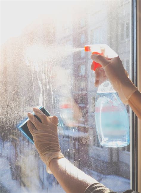 Spring Cleaning Cleaning Windows Women`s Hands Wash The Window