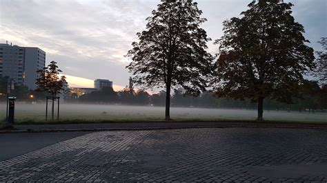 Kaltluft Stadtklima Von Dresden Landeshauptstadt Dresden