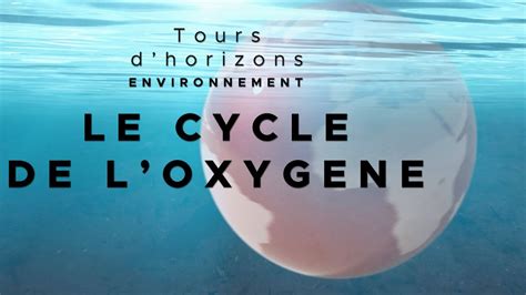 Le Cycle De L Oxyg Ne Et Du Co Sur Terre En Youtube