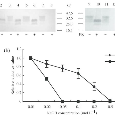 Effects Of Different Concentration NaOH On PK Resistance Of PrP Sc