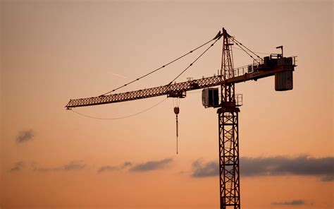 Crane Wallpapers - Wallpaper Cave