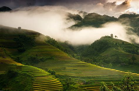 Hd Wallpaper Asia Hut Sunrise Terrace Terraces Rice Terraces Path Wallpaper Flare