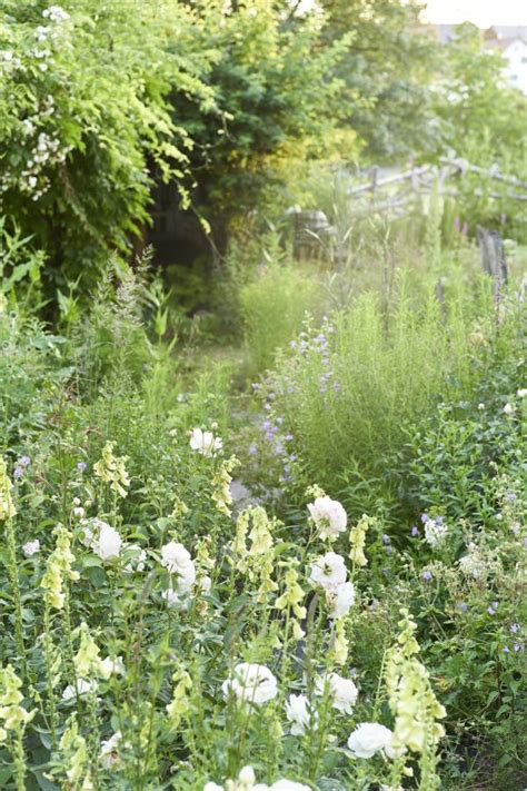 Uerzlikon Ideengarten I NatUrban Naturnahe Gartengestaltung