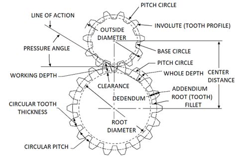 Calculation of Pitch Diameter (D) with known Number of Teeth (N) and ...