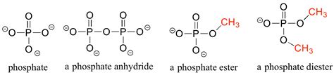 1.3: Functional groups and organic nomenclature - Chemistry LibreTexts