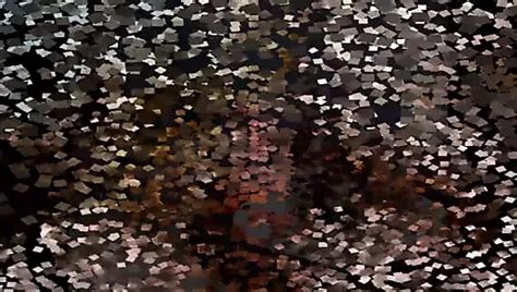 Mnbr Porn Videos Xhamster