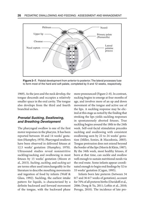 Pediatric Swallowing And Feeding Assessment And Management Third Pdf