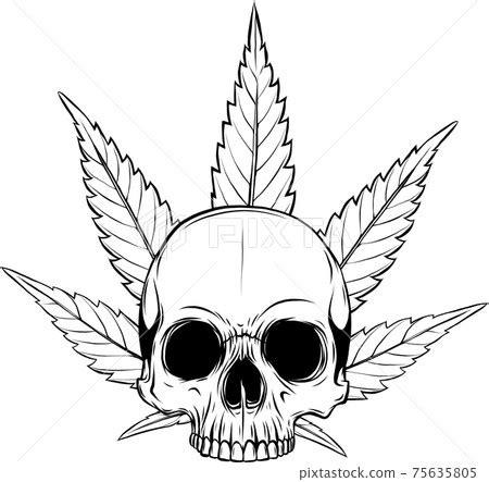 Skull Smoking Weed Drawings