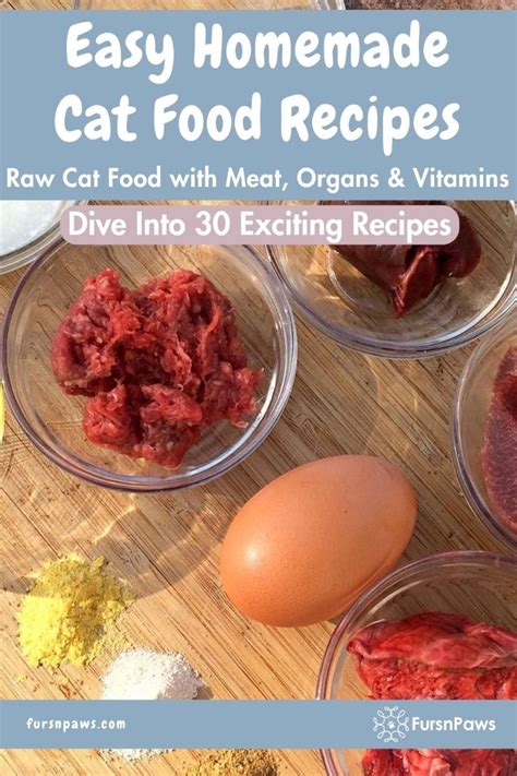 Raw Cat Food Recipes Artofit