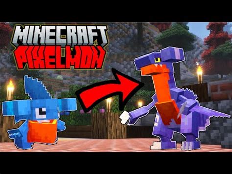 Gabite's Evolution Cobblemon Minecraft Pixelmon - YouTube