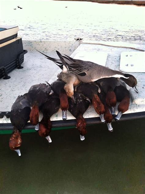 Texas Duck Hunting 19 Ramsey Russells