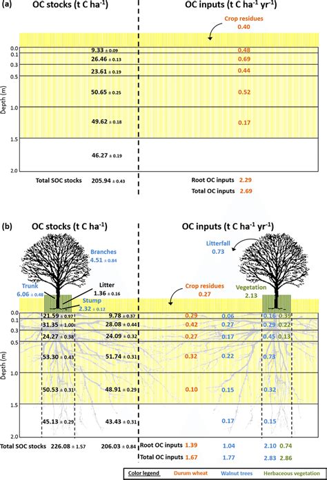 Measured Soil Organic Carbon Stocks And Organic Carbon Inputs To The