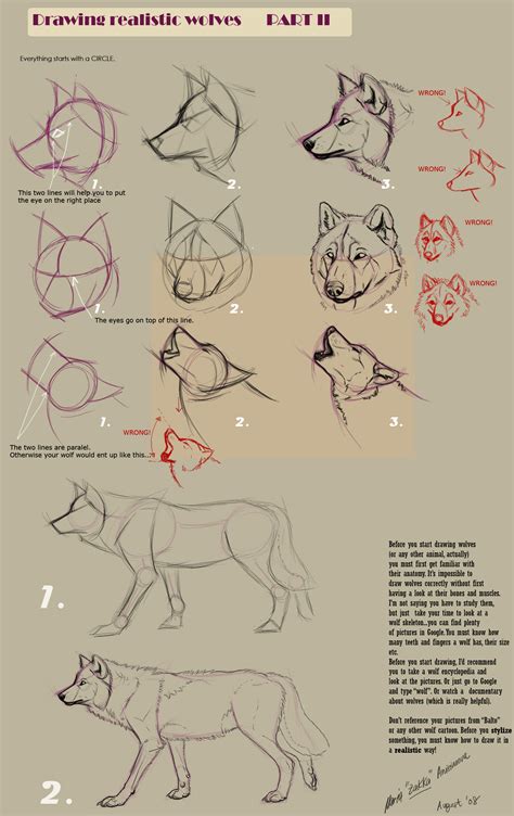 Drawing Realistic Wolves Ii By Yellow Eyes On Deviantart