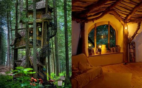 15 Best Treehouses In The World That Make The Dreamiest Stay Ever Imp