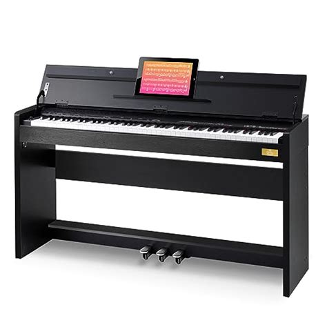 Find The Best Digital Piano Keyboard Action Reviews Comparison Katynel