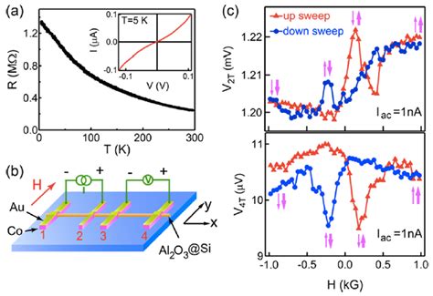 Electrical Spin Injection And Detection In Silicon Nanowires Through