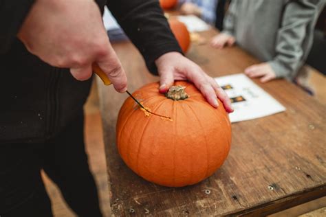 How Can You Preserve Your Carved And Uncarved Pumpkins This Halloween