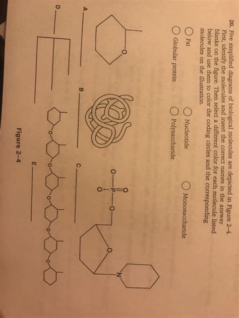 Five Simplified Diagrams Of Biological Molecules