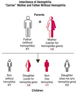 Pags-wa: Hemophilia A Inheritance Pattern