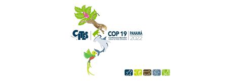 Saving Sharks At Cites Cop19 Save Our Seas Foundation