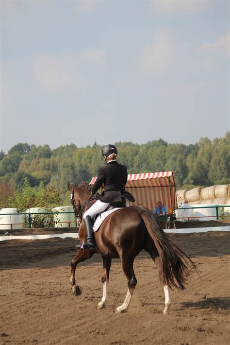 Understanding Dressage: The Principles and Objectives of the Sport ...