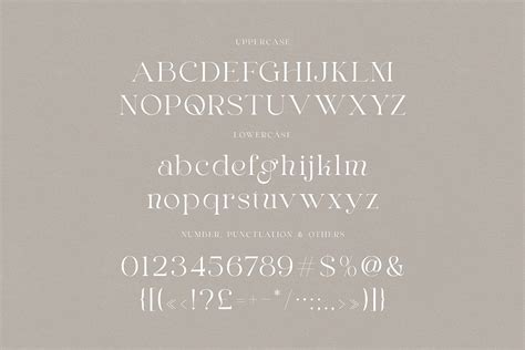 Elegant Serif Font on Behance