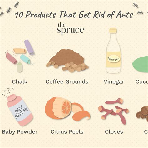 How To Get Ants To Stay Away From Cat Food at Jacqueline Sadler blog